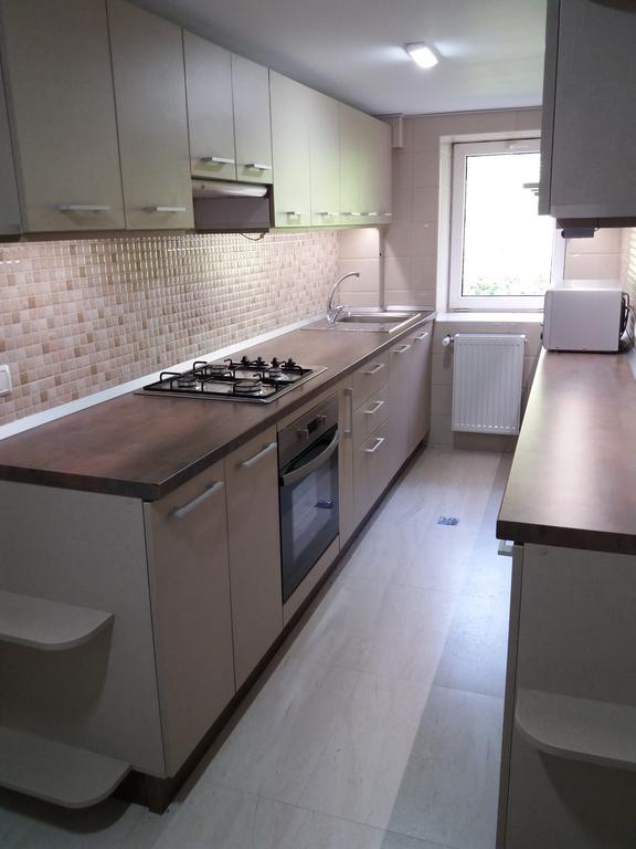 Vila Viitorul Buşteni Exterior foto
