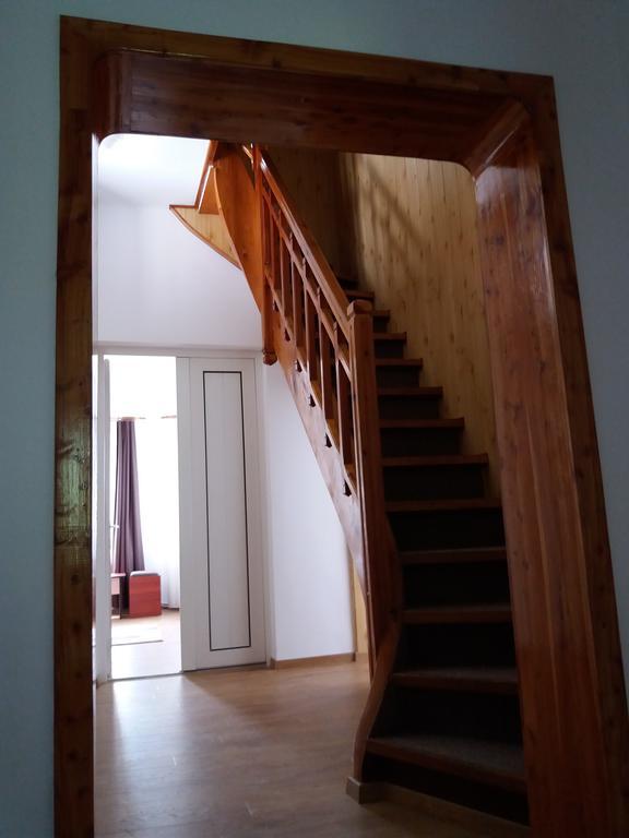 Vila Viitorul Buşteni Exterior foto